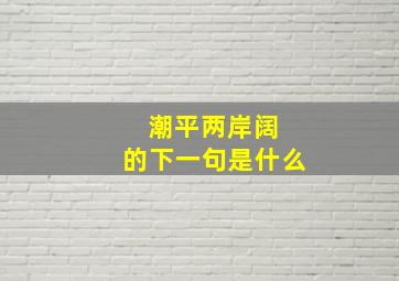 潮平两岸阔 的下一句是什么